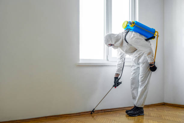 Best Affordable Pest Control Services  in Claude, TX