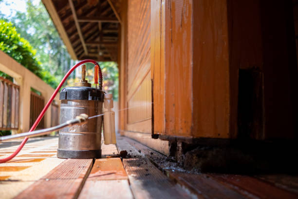 Best Pest Removal Services  in Claude, TX