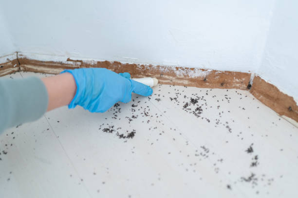 Best Best Pest Control Companies  in Claude, TX